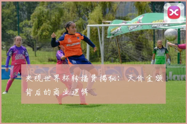 央视世界杯转播费揭秘:天价金额背后的商业逻辑
